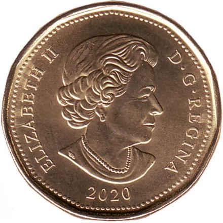 Монета 1 доллар. 2020 год, Канада. Утка.