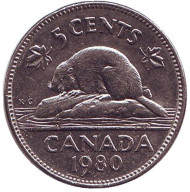 Монета 5 центов. 1980 год, Канада. Бобр. Монета 5 центов. 1980 год, Канада. Бобр.
