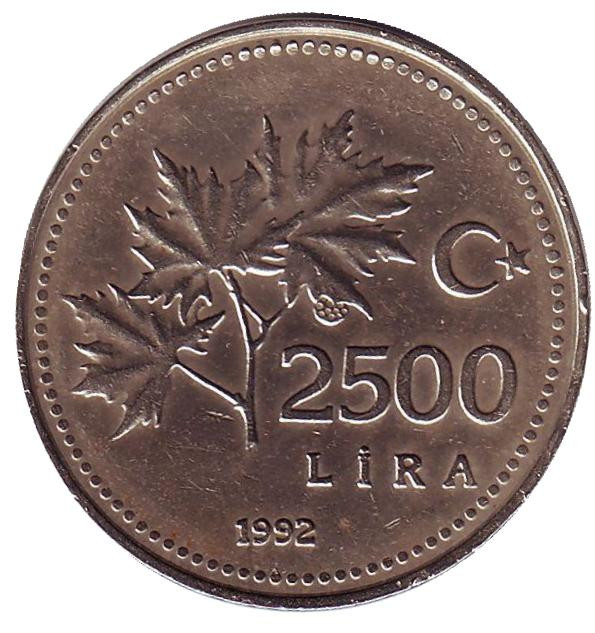 Италия 200 лир 1981. 1000 монет. Италия 100 лир 1997 год. 839 лир. Италия 200 лир 1980 фао международный женский год.