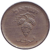 Монета 25 прут. 1949 год, Израиль. Гроздь винограда. (Без точки). Монета 25 прут. 1949 год, Израиль. Гроздь винограда. (Без точки).