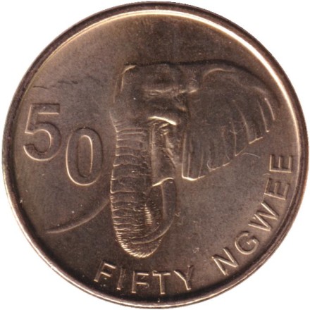 Монета 50 нгве. 2024 год, Замбия. Саванный слон.