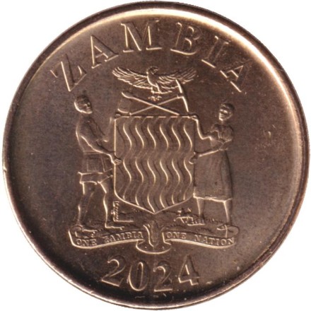 Монета 50 нгве. 2024 год, Замбия. Саванный слон.