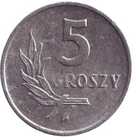 Монета 5 грошей. 1958 год, Польша. Монета 5 грошей. 1958 год, Польша.