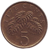 Монета 5 центов. 2000 год, Сингапур. Монстера деликатесная. Монета 5 центов. 2000 год, Сингапур. Монстера деликатесная.