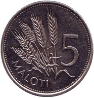 Монета 5 малоти. 1998 год, Лесото. Колосья пшеницы. Монета 5 малоти. 1998 год, Лесото. Колосья пшеницы.