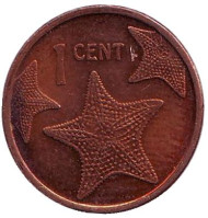 Монета 1 цент. 2009 год, Багамские острова. Из обращения. Морская звезда. Монета 1 цент. 2009 год, Багамские острова. Из обращения. Морская звезда.
