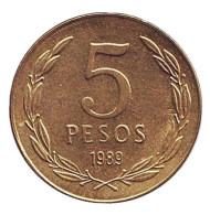 Монета 5 песо. 1989 год, Чили. Монета 5 песо. 1989 год, Чили.