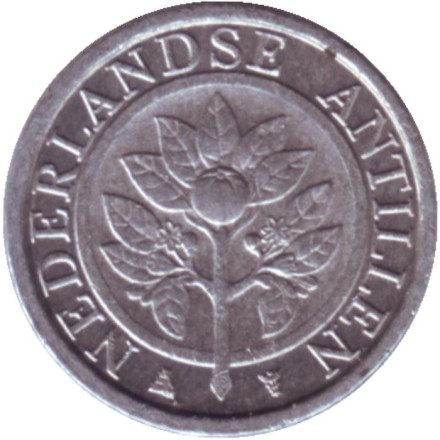 Монета 1 цент. 2006 год, Нидерландские Антильские острова. Цветок апельсинового дерева.