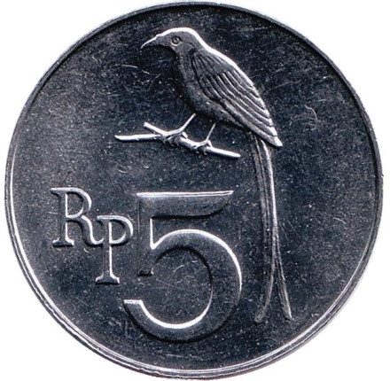 Монета 5 рупий. 1970 год, Индонезия. UNC. Чёрный дронго.