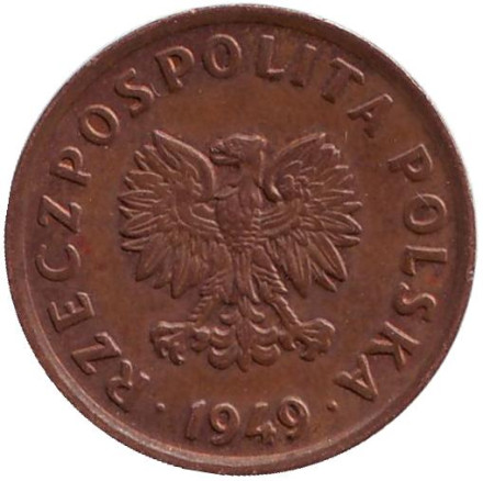 Монета 5 грошей. 1949 год, Польша. (бронза).