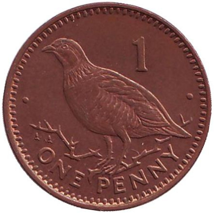 Монета 1 пенни, 1996 год, Гибралтар. Берберская куропатка.