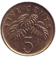 Монета 5 центов. 2011 год, Сингапур. Монстера деликатесная. Монета 5 центов. 2011 год, Сингапур. Монстера деликатесная.