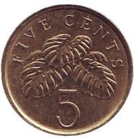 Монстера деликатесная. Монета 5 центов. 2011 год, Сингапур.