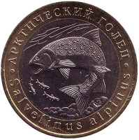 Арктический голец. Монетовидный жетон. 5 червонцев, 2017 год. ММД. 