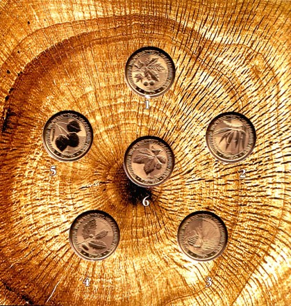 Деревья Армении. Набор из 6 монет в буклете. 200 драмов, 2014 год, Армения.