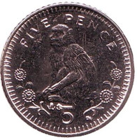 Варварийская обезьяна. Монета 5 пенсов. 2003 год, Гибралтар. Магнитная. (AB)
