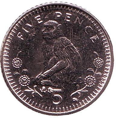 Монета 5 пенсов. 2003 год, Гибралтар. Магнитная. (AB) Варварийская обезьяна.