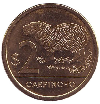 Монета 2 песо. 2014 год, Уругвай. Водосвинка (капибара).