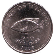 Монета 200 шиллингов. 2008 год, Уганда. (магнитные). XF. Рыба семейства "Цихлиды". Монета 200 шиллингов. 2008 год, Уганда. (магнитные). XF. Рыба семейства "Цихлиды".