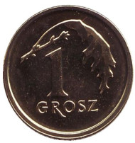 Монета 1 грош, 2013 год, Польша. (новый тип). Дубовый лист. Монета 1 грош, 2013 год, Польша. (новый тип). Дубовый лист.