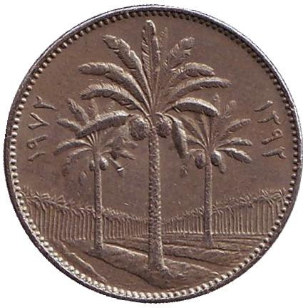 Монета 25 филсов, 1972 год, Ирак. Пальмовые деревья.
