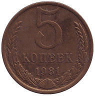 Монета 5 копеек. 1981 год, СССР. Монета 5 копеек. 1981 год, СССР.