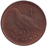 Берберская куропатка. Монета 1 пенни, 1988 год, Гибралтар. (AA)