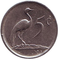 Африканская красавка. Монета 5 центов. 1977 год, Южная Африка.
