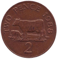 Монета 2 пенса. 1988 год, Гернси. Корова. Монета 2 пенса. 1988 год, Гернси. Корова.