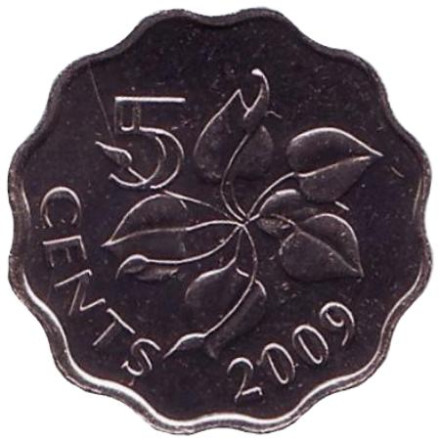 Монета 5 центов. 2009 год, Свазиленд. Орхидея.