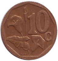 Монета 10 центов. 2004 год, ЮАР. Лилия. Монета 10 центов. 2004 год, ЮАР. Лилия.