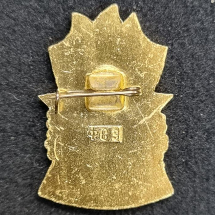 Отличник БГТО (Будь готов к труду и обороне). Значок. 1961-72 гг., СССР.