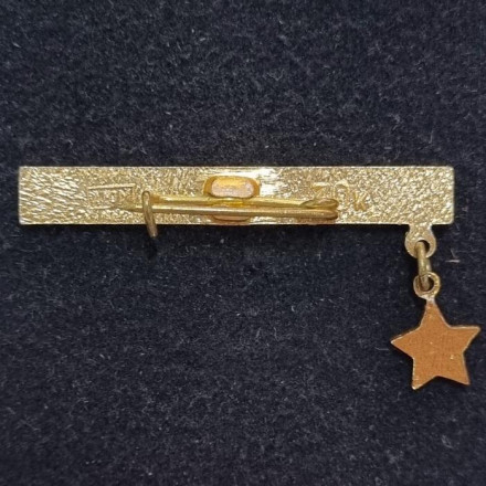 Ленинград Город-герой. Звезда. Значок. СССР. Ленинград Город-герой. Звезда. Значок. СССР.