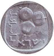 Монета 5 агор. 1977 год, Израиль. Гранат. Монета 5 агор. 1977 год, Израиль. Гранат.