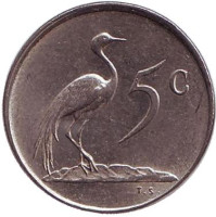 Африканская красавка. Монета 5 центов. 1978 год, Южная Африка.
