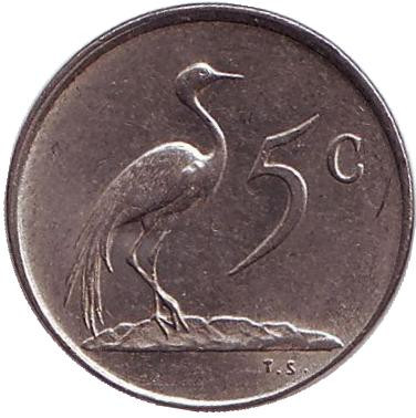 Монета 5 центов. 1978 год, Южная Африка. Африканская красавка.