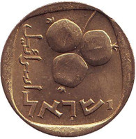 Гранат. Монета 5 агор. 1970 год, Израиль. UNC.