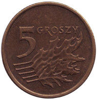 Монета 5 грошей. 2005 год, Польша. Дубовые листья. Монета 5 грошей. 2005 год, Польша. Дубовые листья.