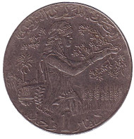 Монета 1 динар. 2009 год, Тунис. FAO. Женщина, собирающая урожай. Монета 1 динар. 2009 год, Тунис. FAO. Женщина, собирающая урожай.