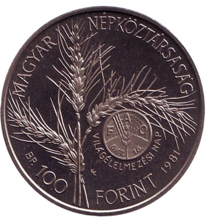 1981-121y.jpg 1981-121y.jpg