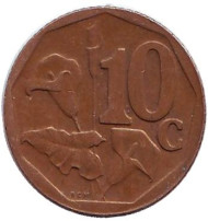 Монета 10 центов. 2005 год, ЮАР. Лилия. Монета 10 центов. 2005 год, ЮАР. Лилия.