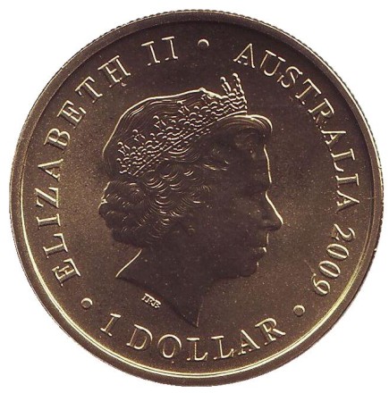 Монета 1 доллар. 2009 год, Австралия. Год быка. Монета 1 доллар. 2009 год, Австралия. Год быка.
