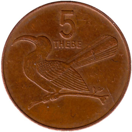 Монета 5 тхебе. 1991 год, Ботсвана. Птица-носорог.