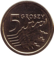 Монета 5 грошей. 2013 год, Польша. (новый тип). Дубовые листья. Монета 5 грошей. 2013 год, Польша. (новый тип). Дубовые листья.