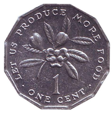 Монета 1 цент, 1991 год, Ямайка. Аки. (Блигия вкусная).