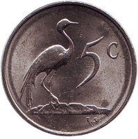Африканская красавка. Монета 5 центов. 1980 год, Южная Африка. aUNC.