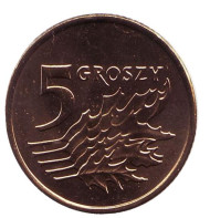 Монета 5 грошей. 2008 год, Польша. Дубовые листья. Монета 5 грошей. 2008 год, Польша. Дубовые листья.