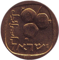 Монета 5 агор. 1965 год, Израиль. Гранат. Монета 5 агор. 1965 год, Израиль. Гранат.