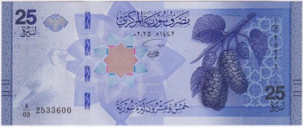 Банкнота 25 фунтов. 2025 год, Сирия. P-W120.