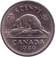 Монета 5 центов. 1989 год, Канада. Бобр. Монета 5 центов. 1989 год, Канада. Бобр.